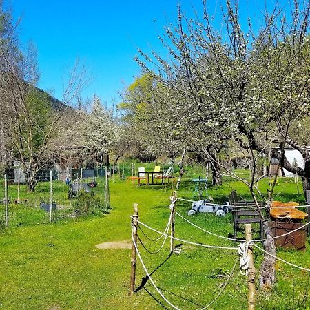 La Cerisole Daire Saint-Étienne-de-Tinée Dış mekan fotoğraf