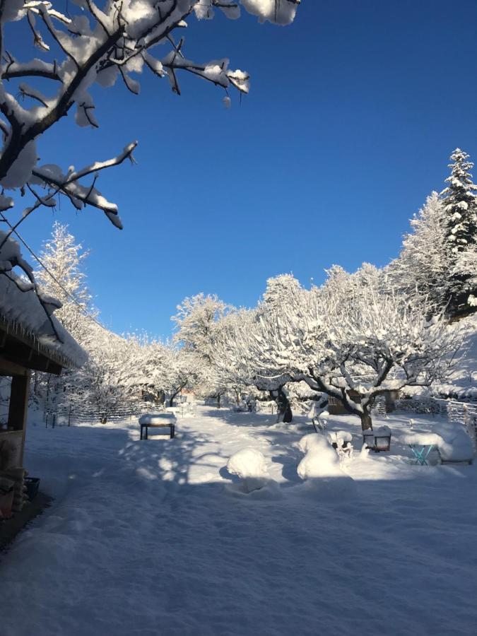 La Cerisole Daire Saint-Étienne-de-Tinée Dış mekan fotoğraf