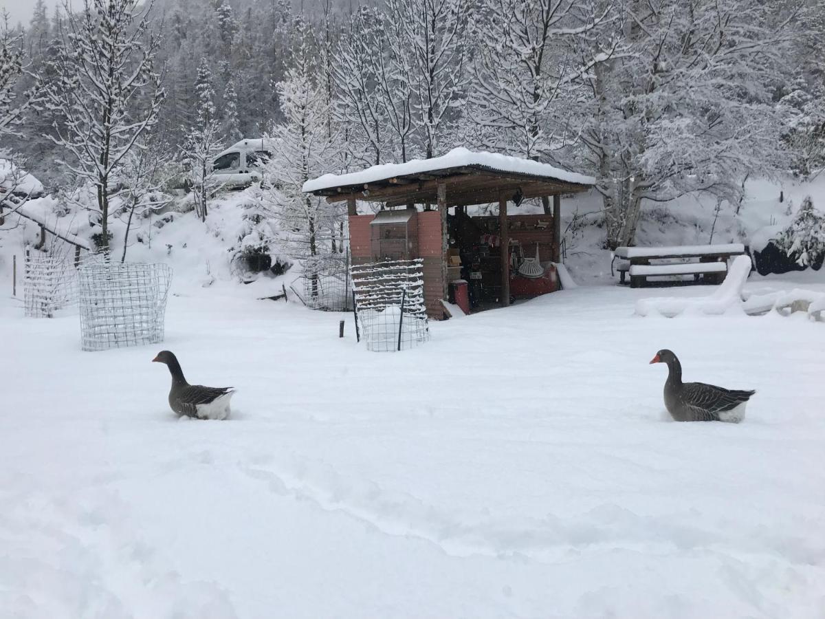 La Cerisole Daire Saint-Étienne-de-Tinée Dış mekan fotoğraf