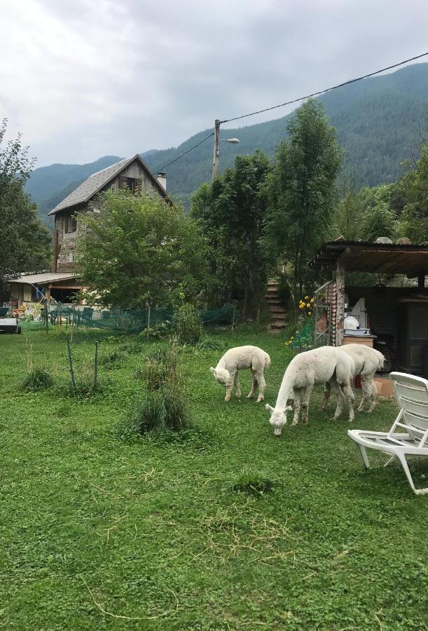 La Cerisole Daire Saint-Étienne-de-Tinée Dış mekan fotoğraf