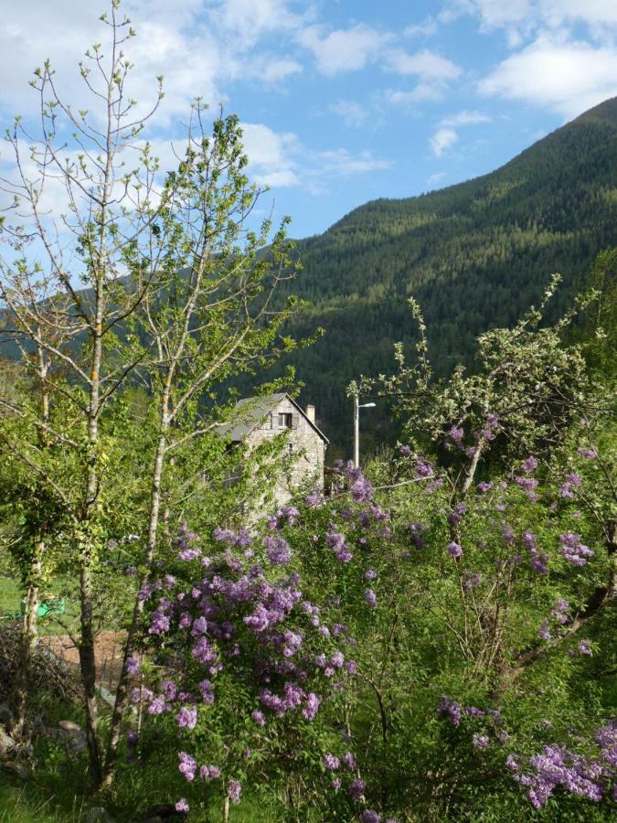 La Cerisole Daire Saint-Étienne-de-Tinée Dış mekan fotoğraf